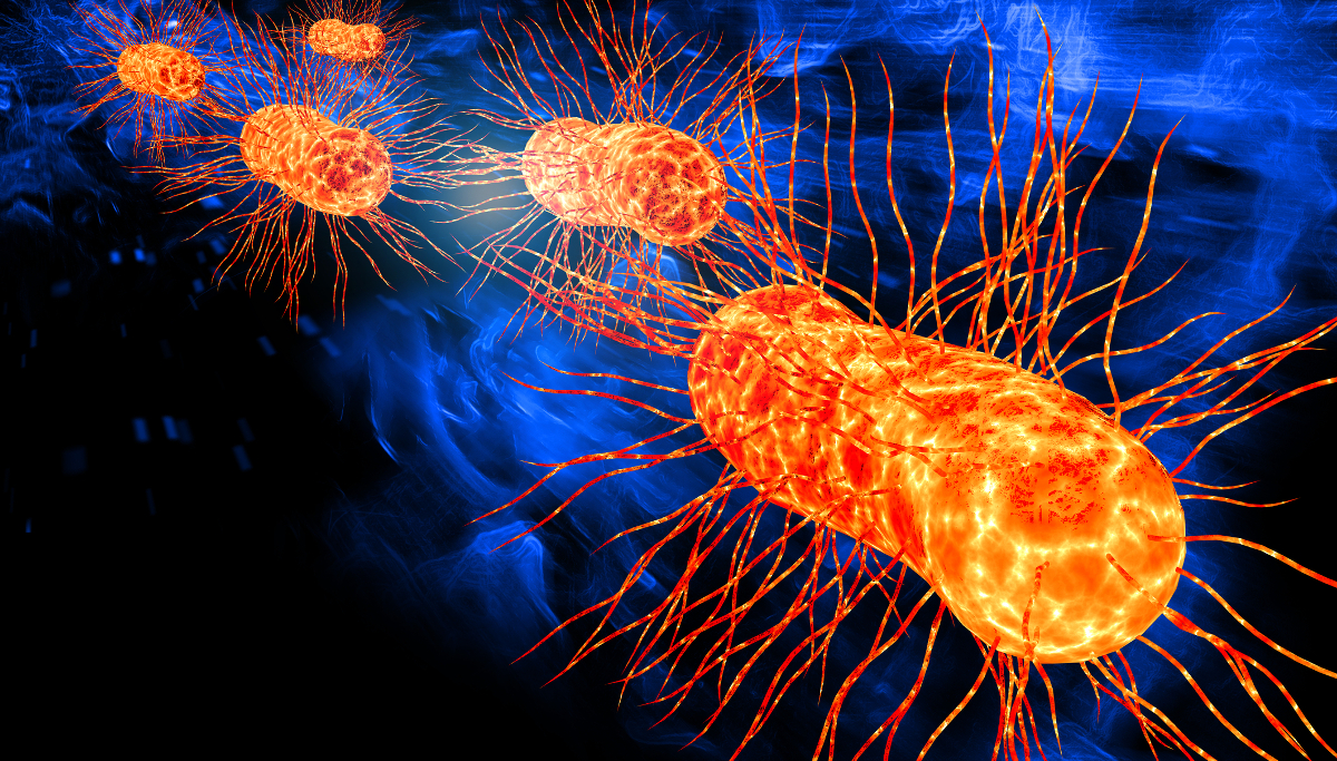 باکتری ای کولای E-coli